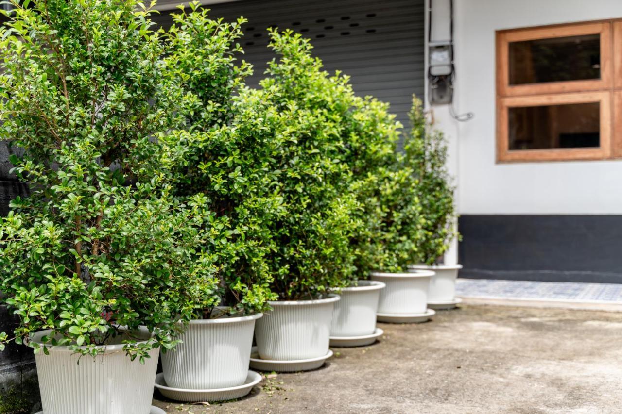 Socialer Coliving & Coworking Space Chiang Mai Extérieur photo